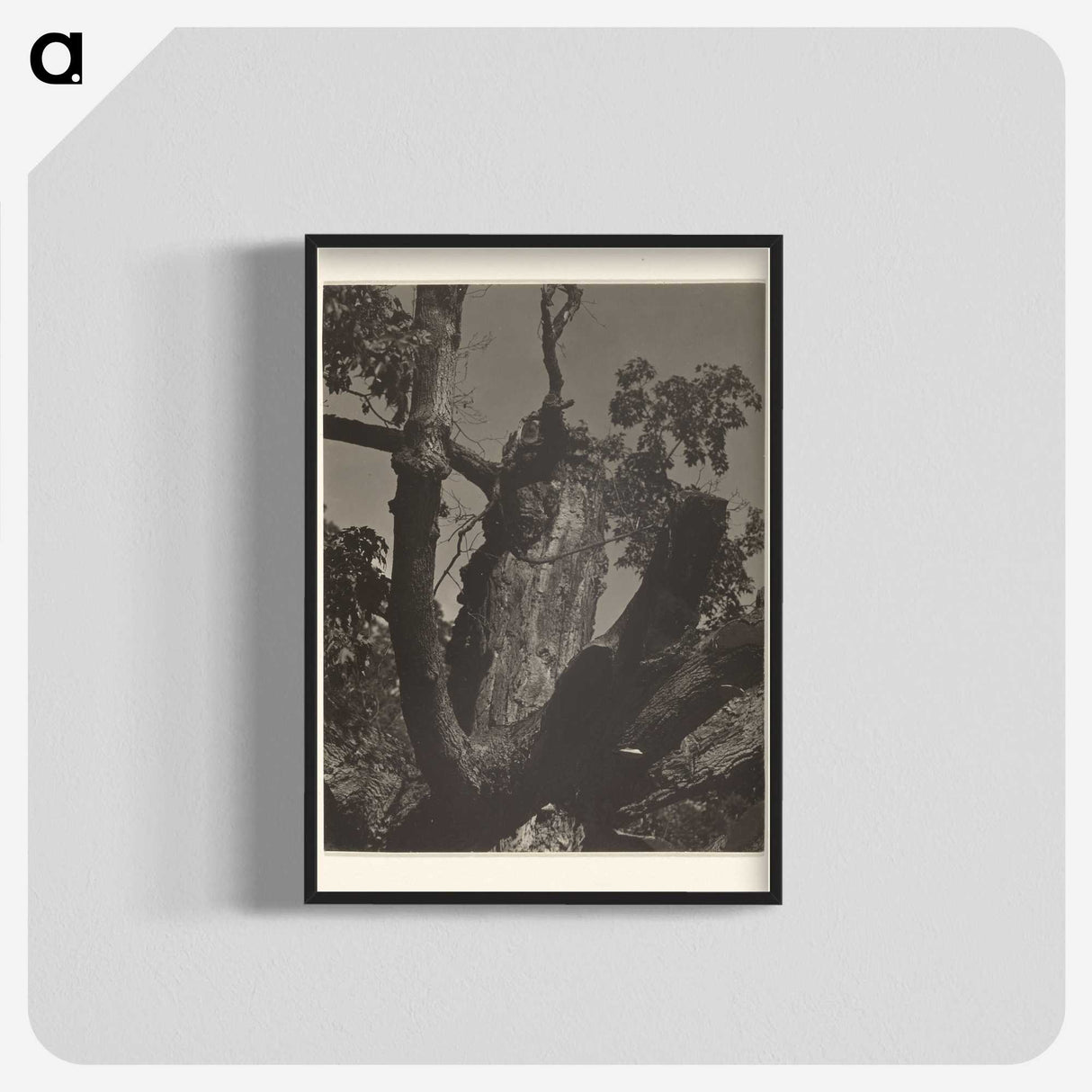3-35_Alfred-Stieglitz_blk-crop