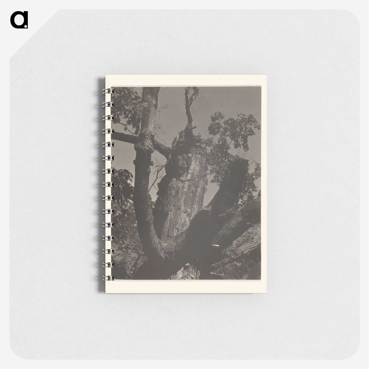 3-35_Alfred-Stieglitz_memo