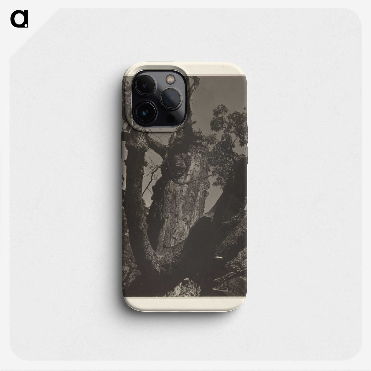 3-35_Alfred-Stieglitz_phone