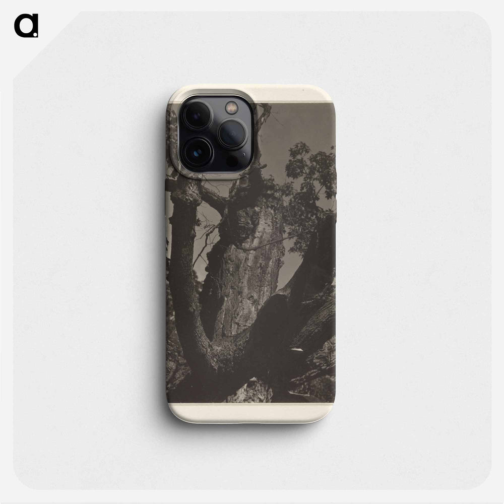 The Old Maple, Lake George - アルフレッド スティーグリッツ Phone Case.