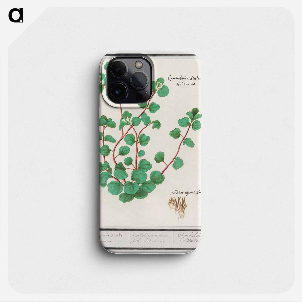 Cymbalaria - アンセルムス ボエティウス デ ブート Phone Case.