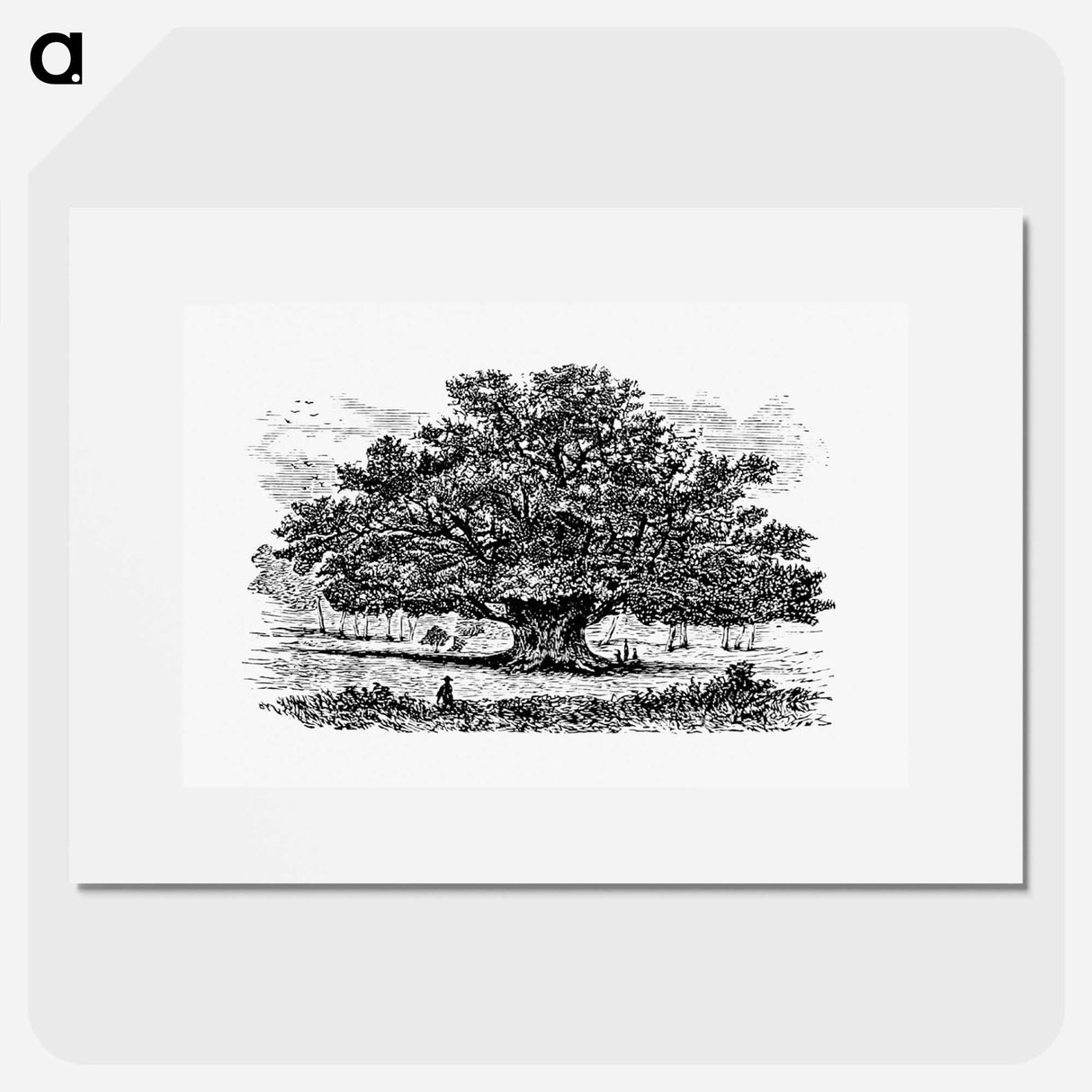 アートポスター-Victorian Tree Engraving
- 大英図書館 Poster.