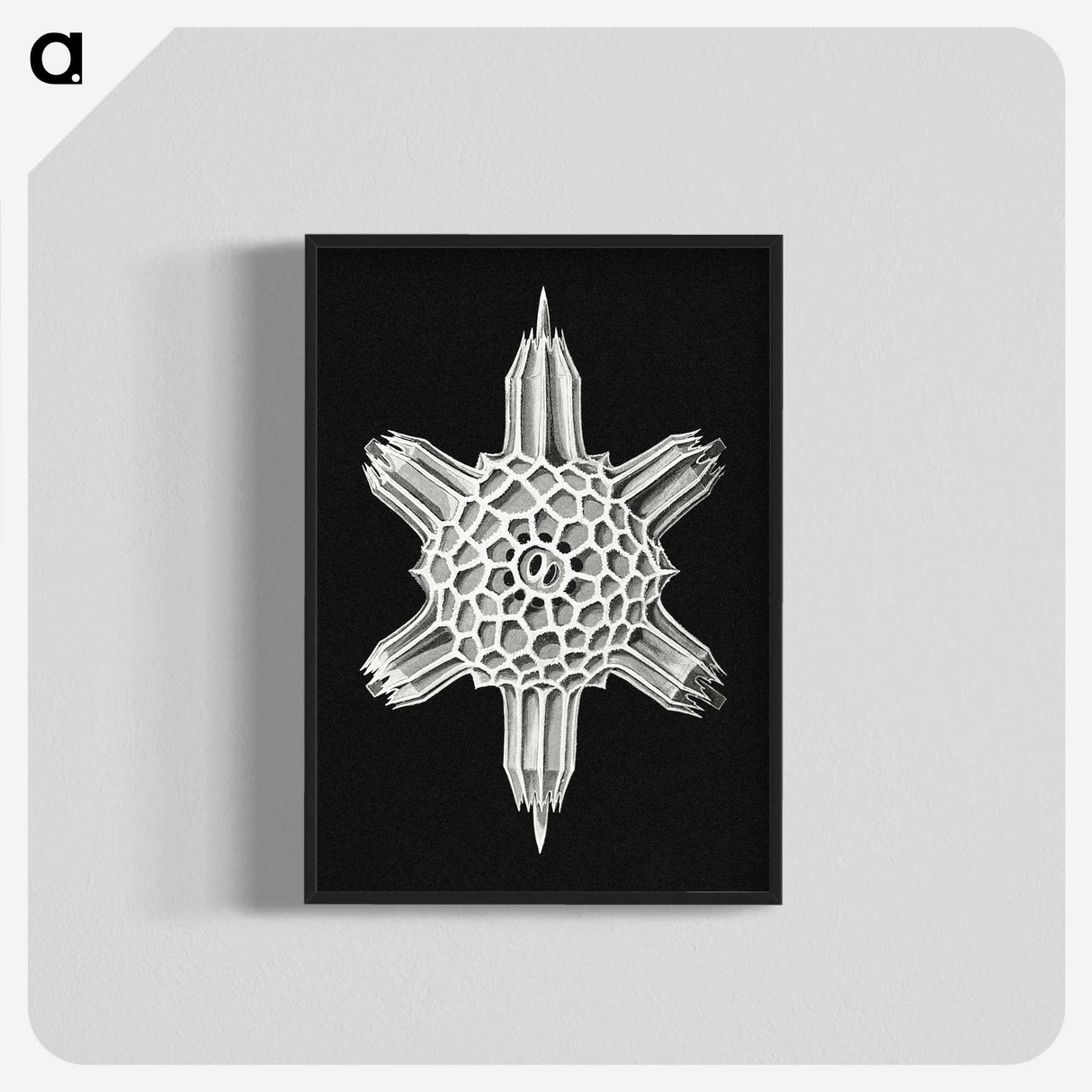 3-35_Ernst-Haeckel_blk-crop