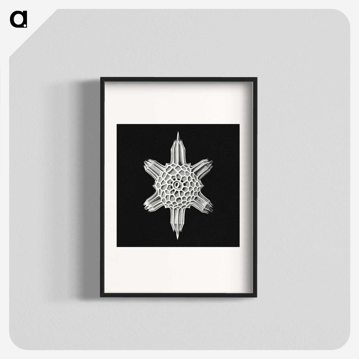 3-35_Ernst-Haeckel_blk