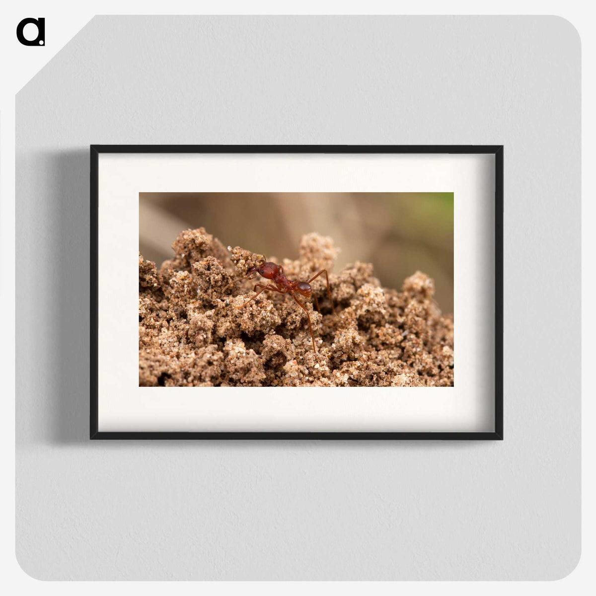 3-35_Insects-Unlocked-Project_blk