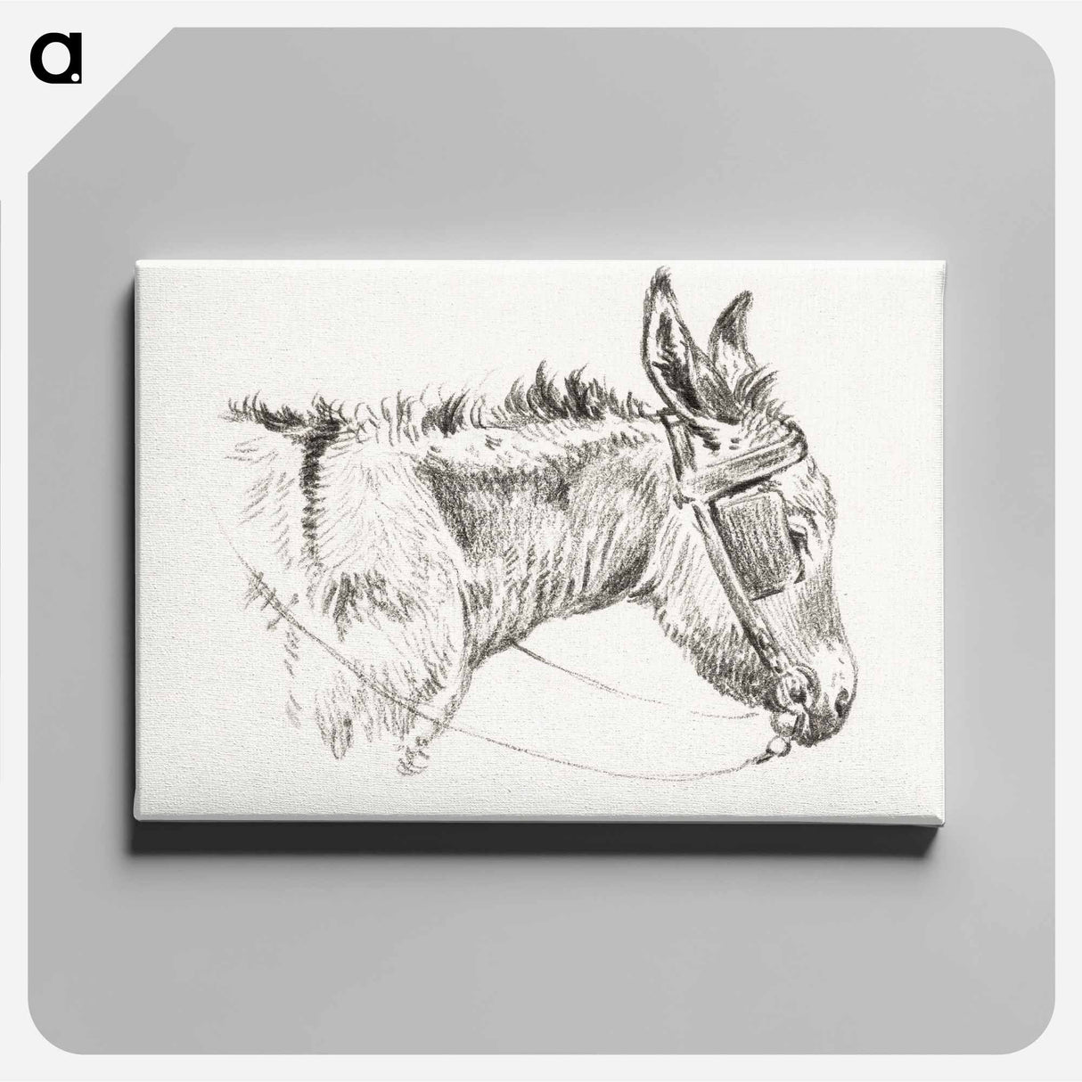 アートパネル-Head of a donkey - ジャン ベルナール Canvas.