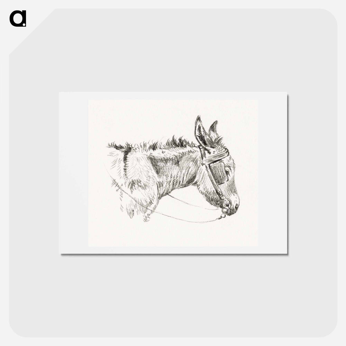 アートポストカード-Head of a donkey - ジャン ベルナール Postcard.