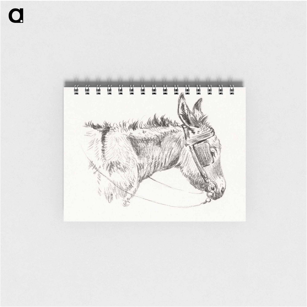 Head of a donkey - ジャン ベルナール Memo.