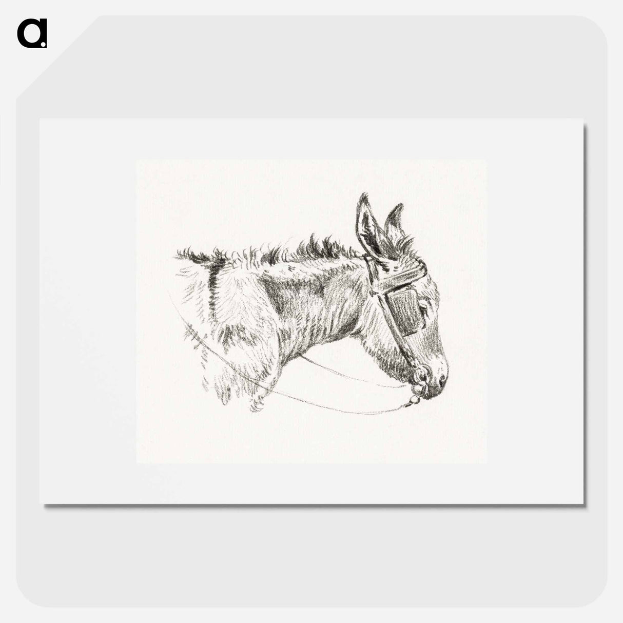 Head of a donkey - Jean Bernard Poster.