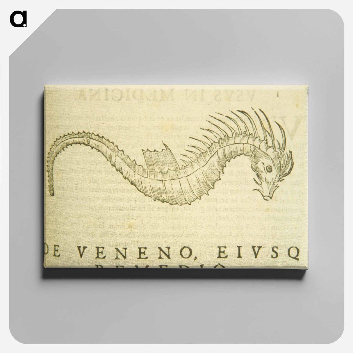アートパネル-Sea-Horse Illustration
- 国立医学図書館 Canvas.