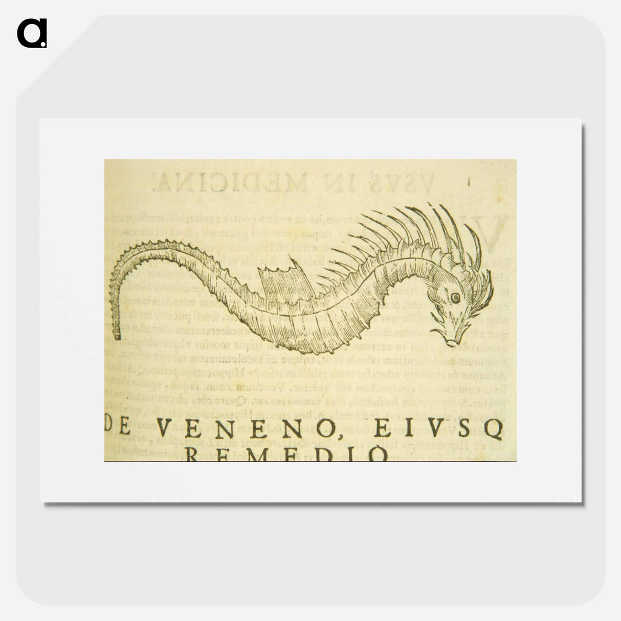 アートポスター-Sea-Horse Illustration
- 国立医学図書館 Poster.