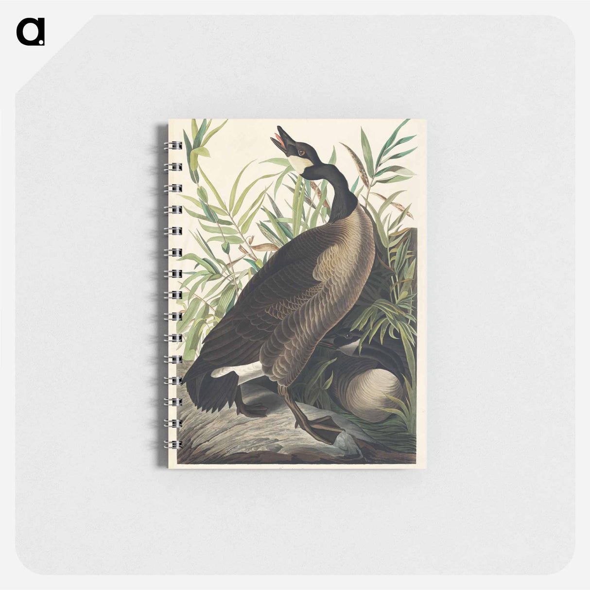 アートメモ帳-Canada Goose from Birds of America
- アメリカの鳥たち Memo.