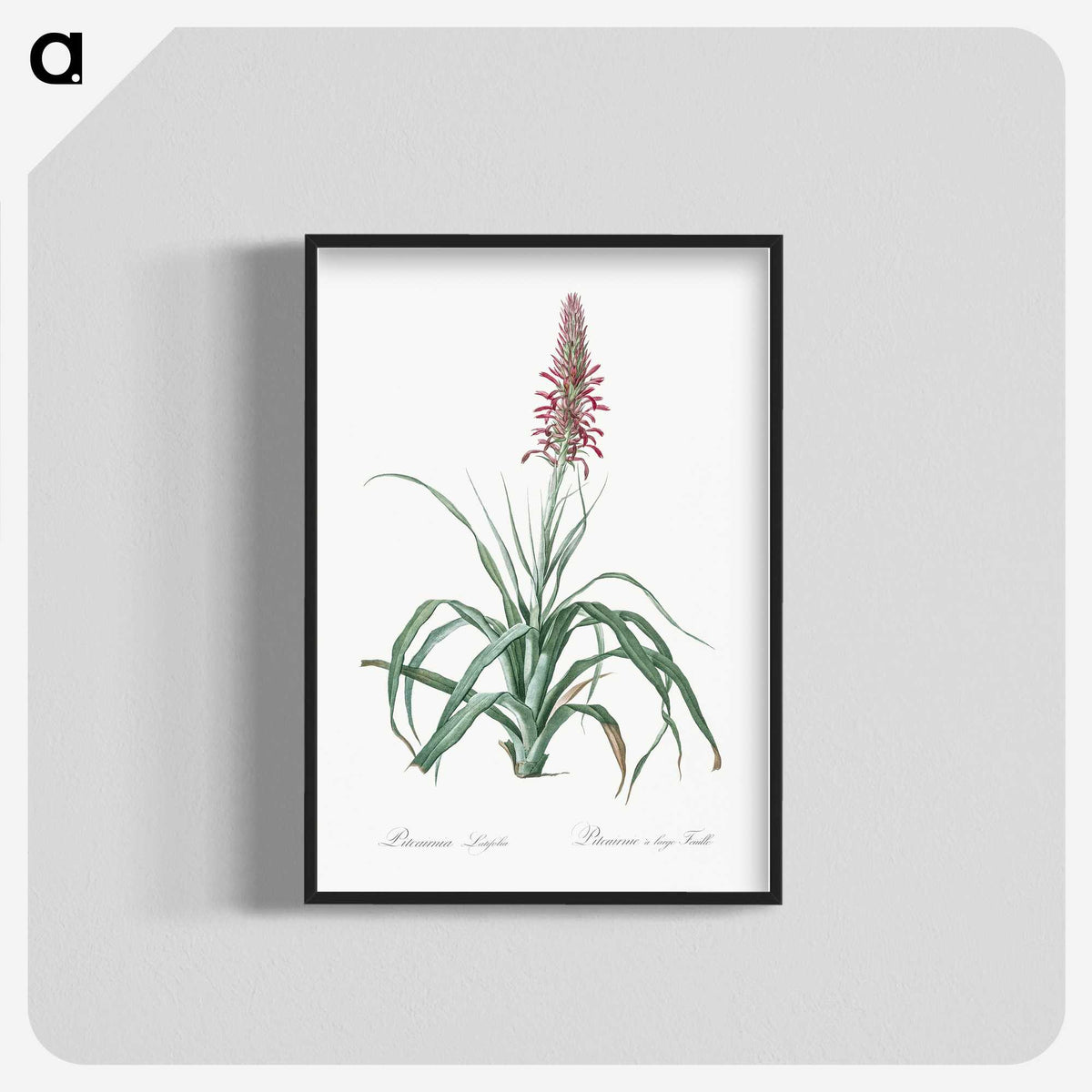 3-35_The-Lilies_blk-crop