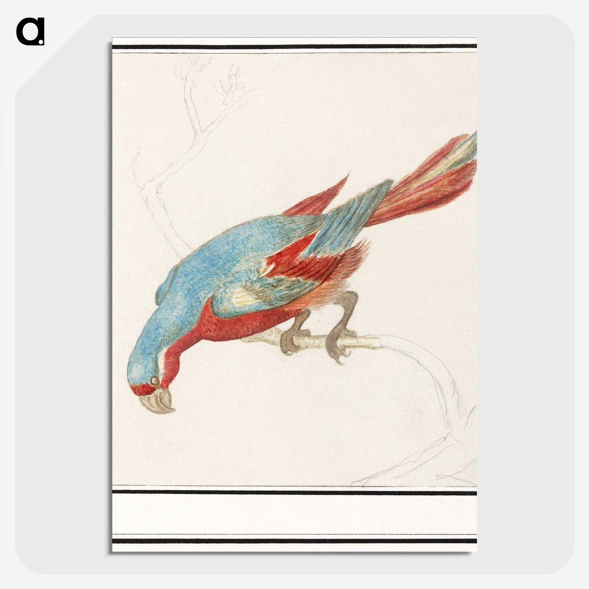 3-36_Anselmus-Boetius-de-Boodt_picture-crop