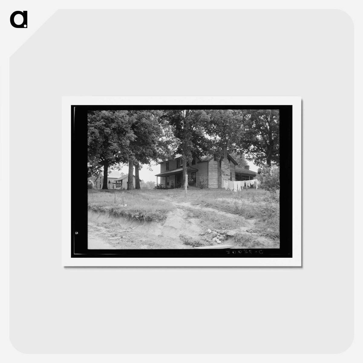 3-36_Dorothea-Lange_hagaki