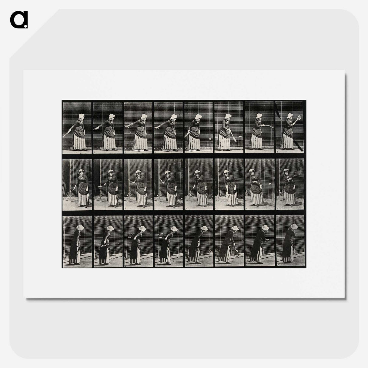 3-36_Eadweard-Muybridge_picture