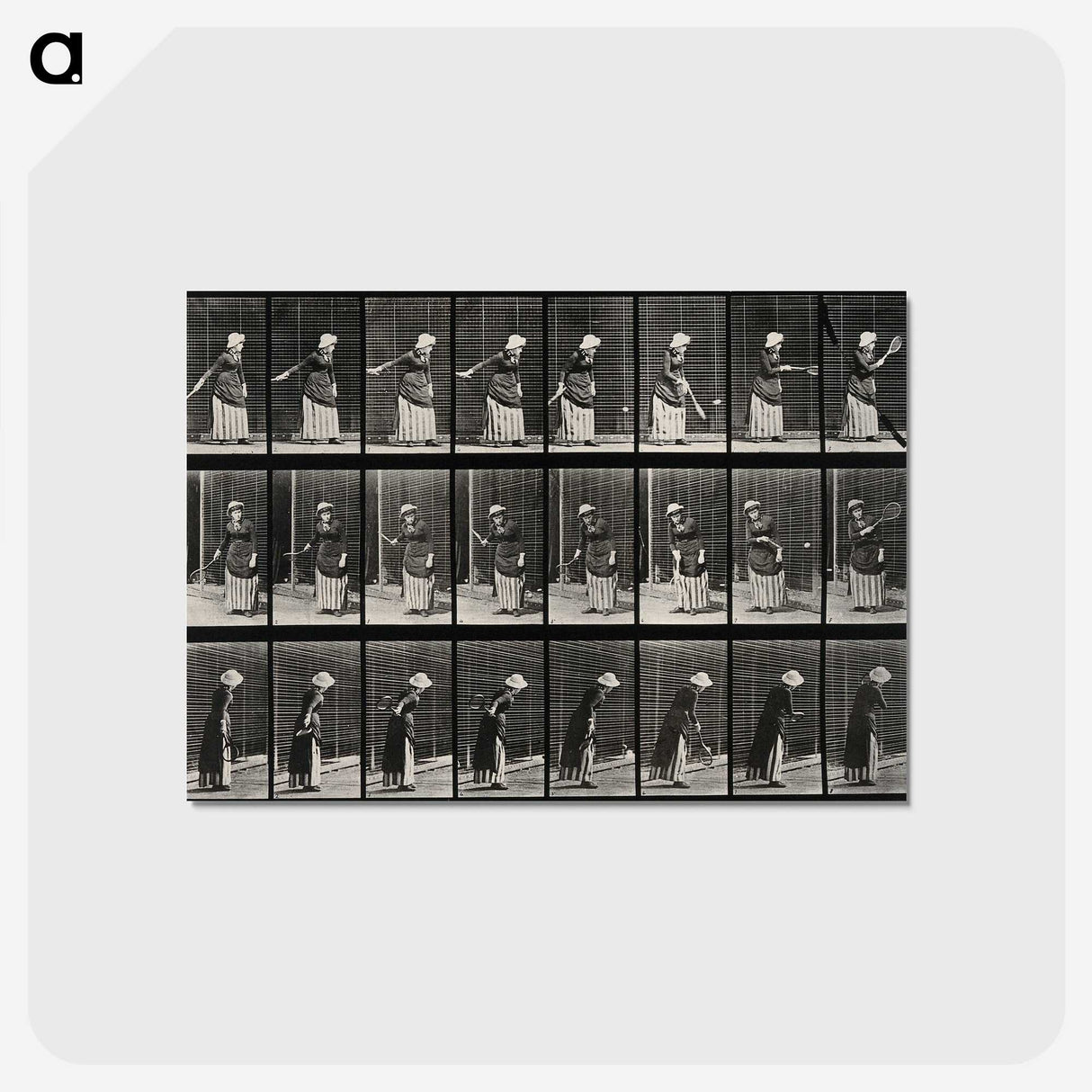 3-36_Eadweard-Muybridge_postcard