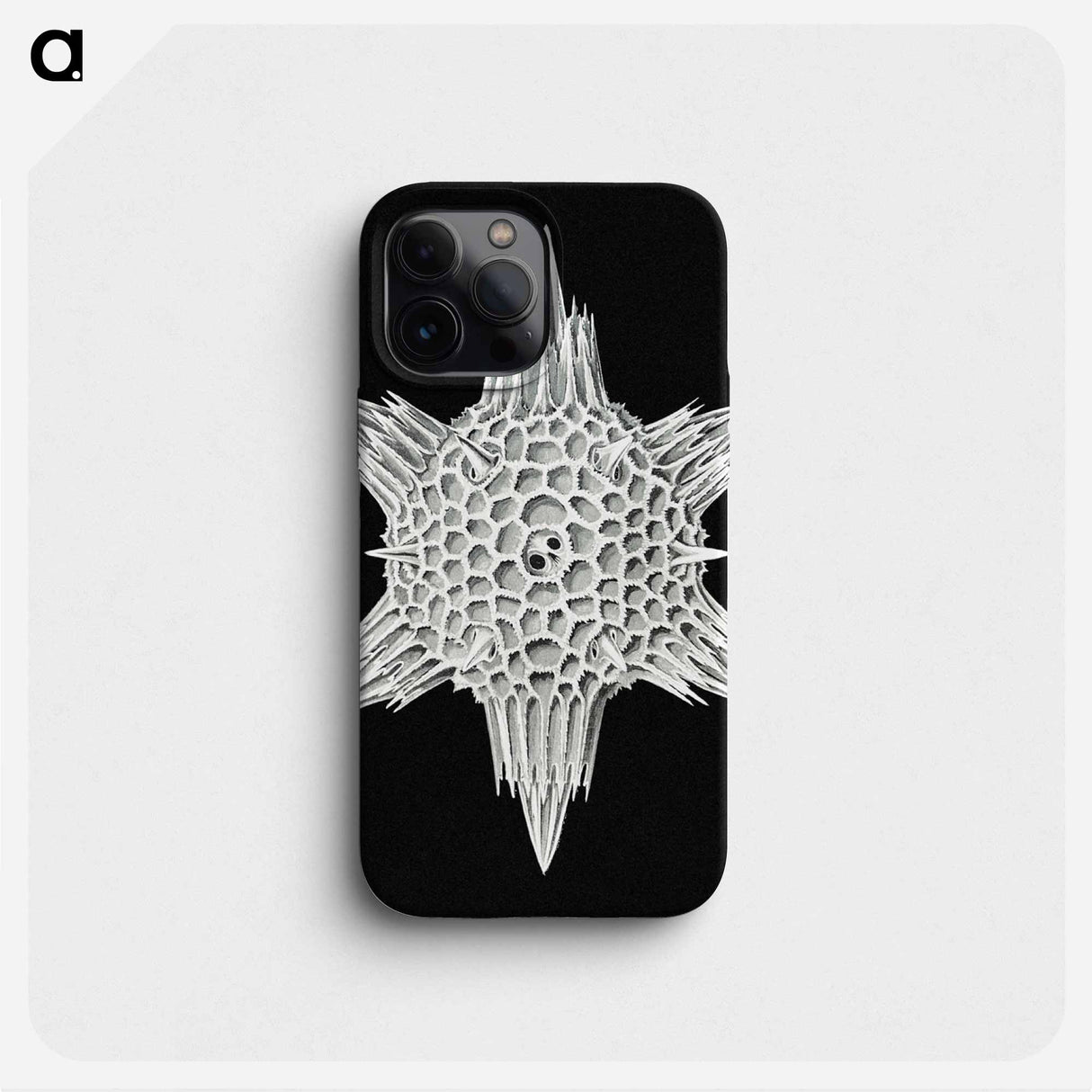 Vintage marine life illustration - エルンスト ヘッケル Phone Case.