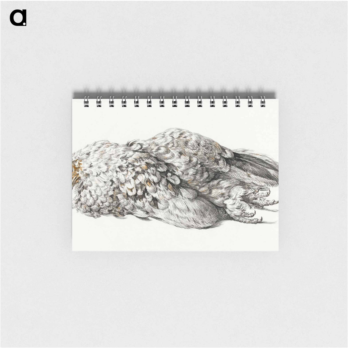 A dead chicken - ジャン ベルナール Memo.