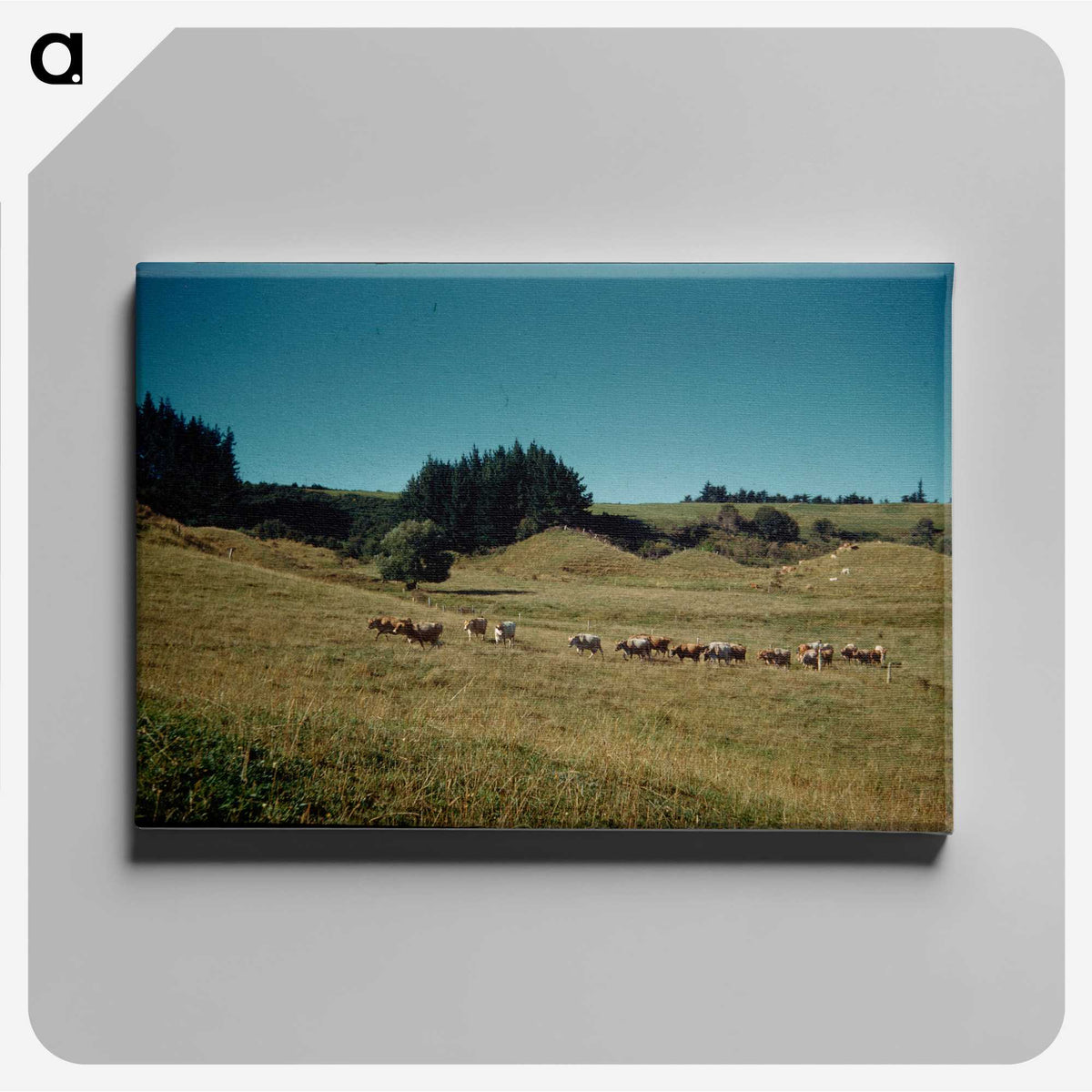 3-36_Leslie-Adkin_canvas