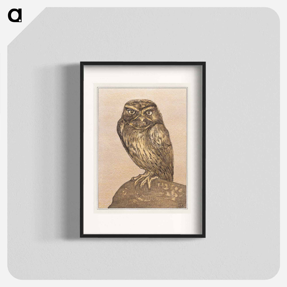 Steenuil op rots - Theo van Hoytema Poster.