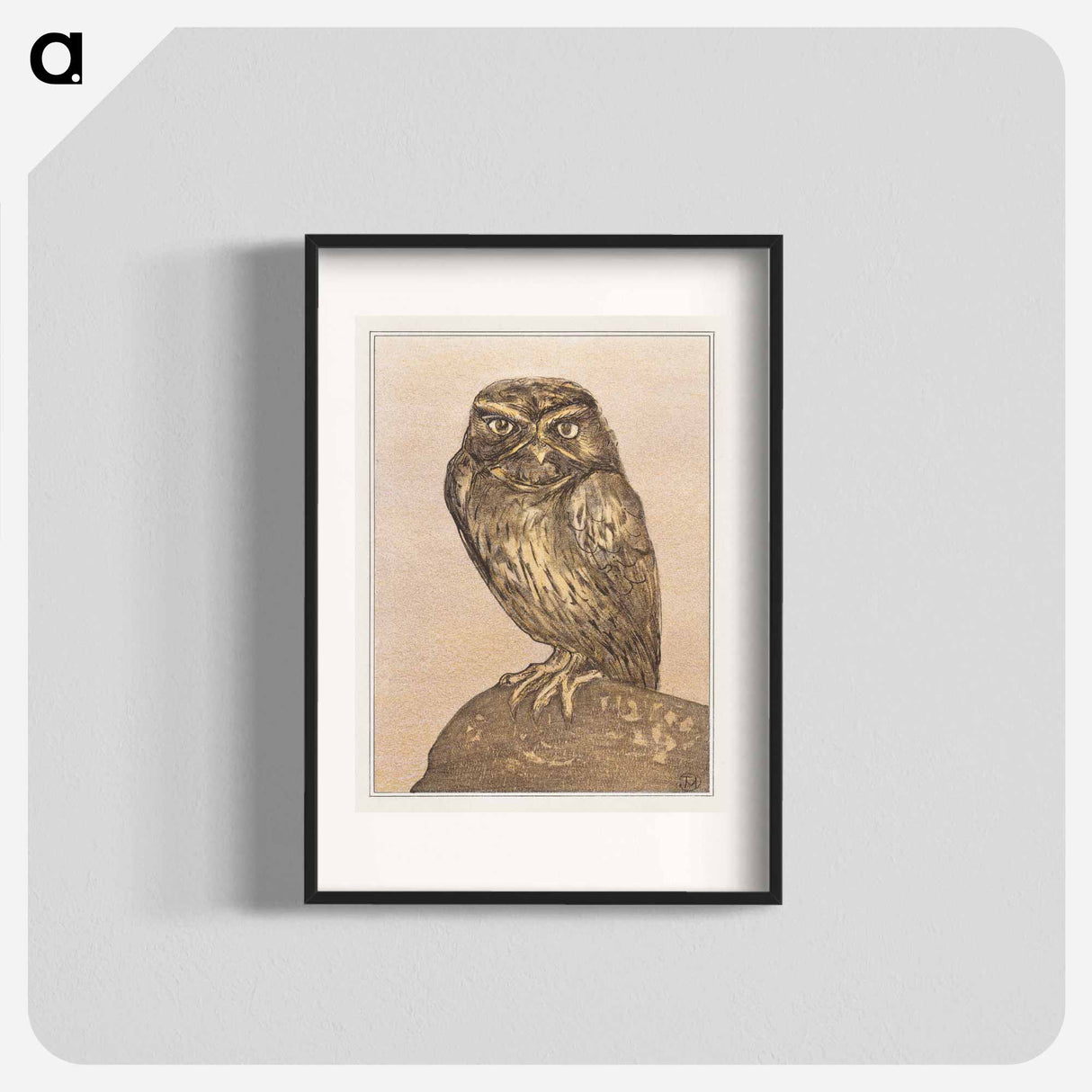 Steenuil op rots - Theo van Hoytema Poster.