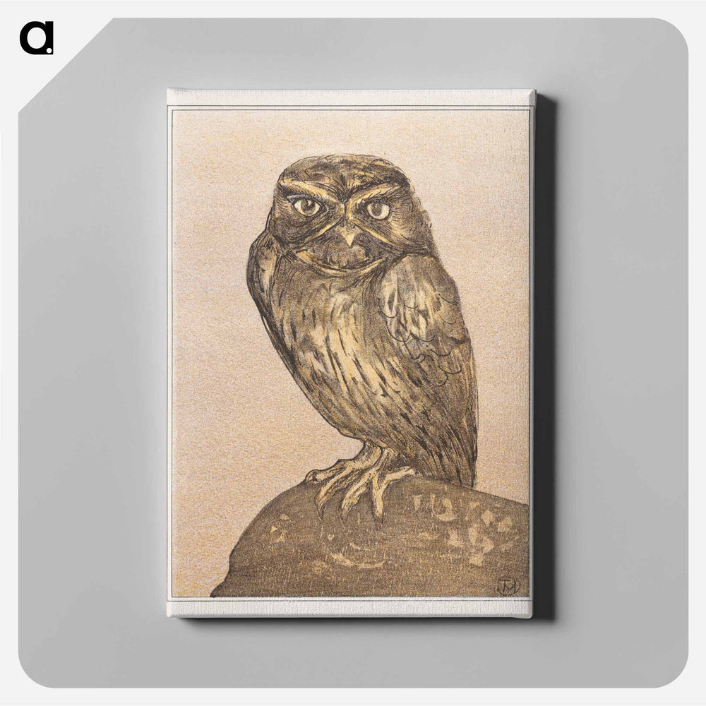 Steenuil op rots - Theo van Hoytema Canvas.
