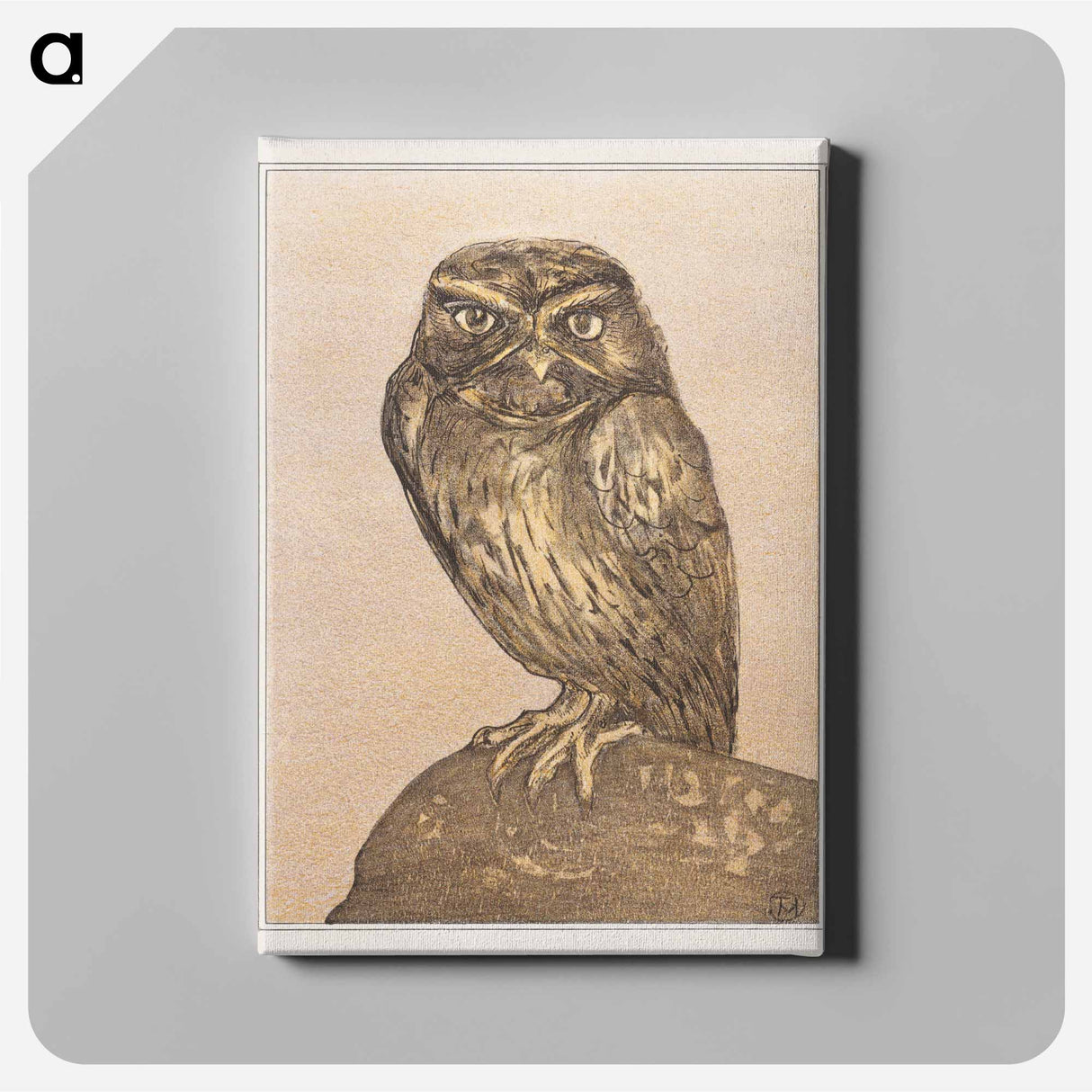 Steenuil op rots - Theo van Hoytema Canvas.