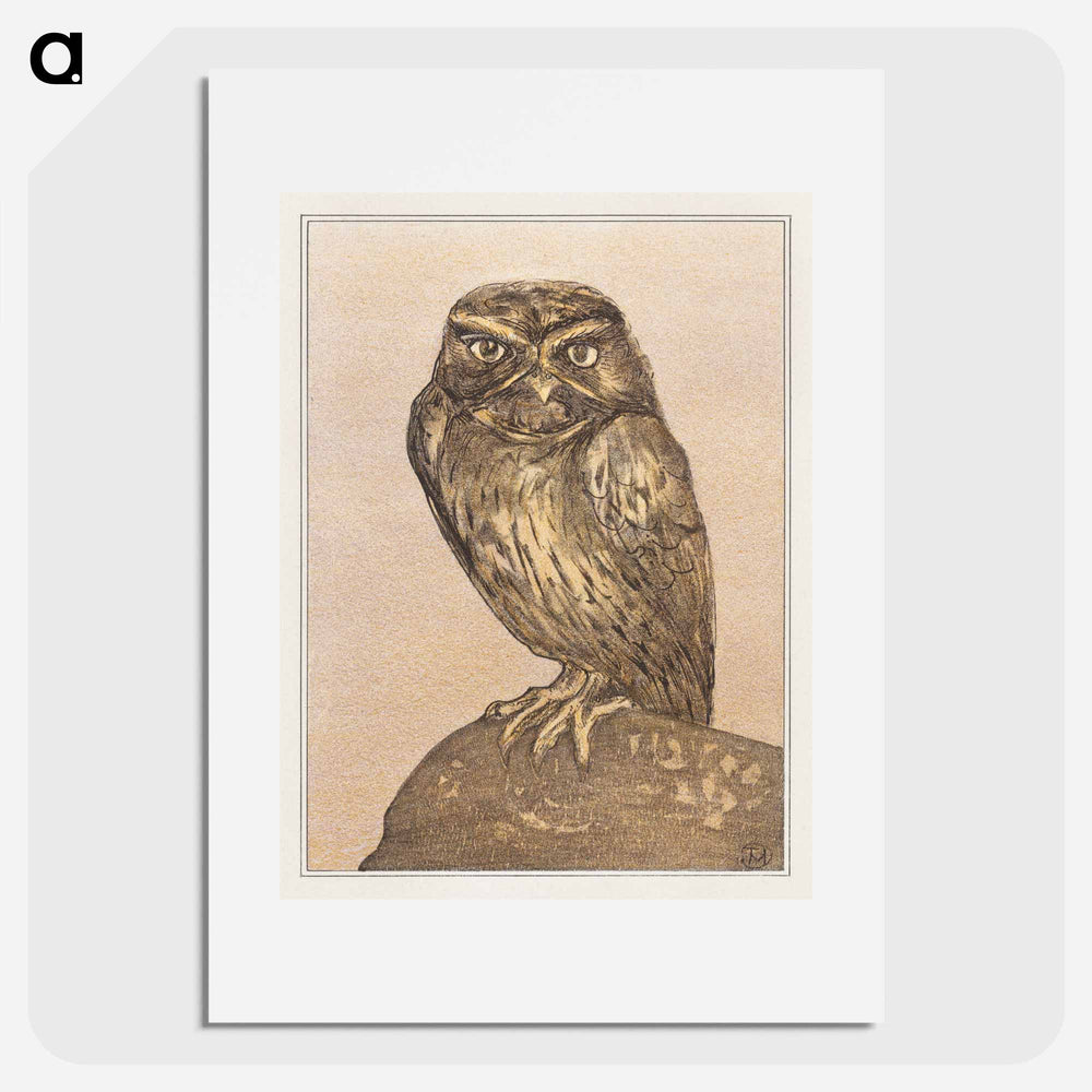 Steenuil op rots - Theo van Hoytema Poster.