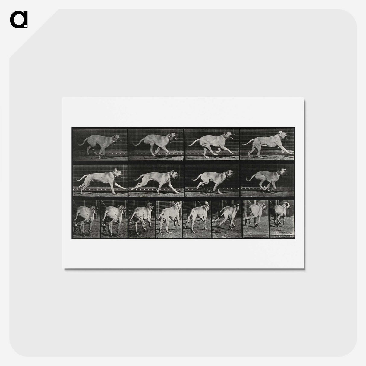 3-37_Eadweard-Muybridge_hagaki