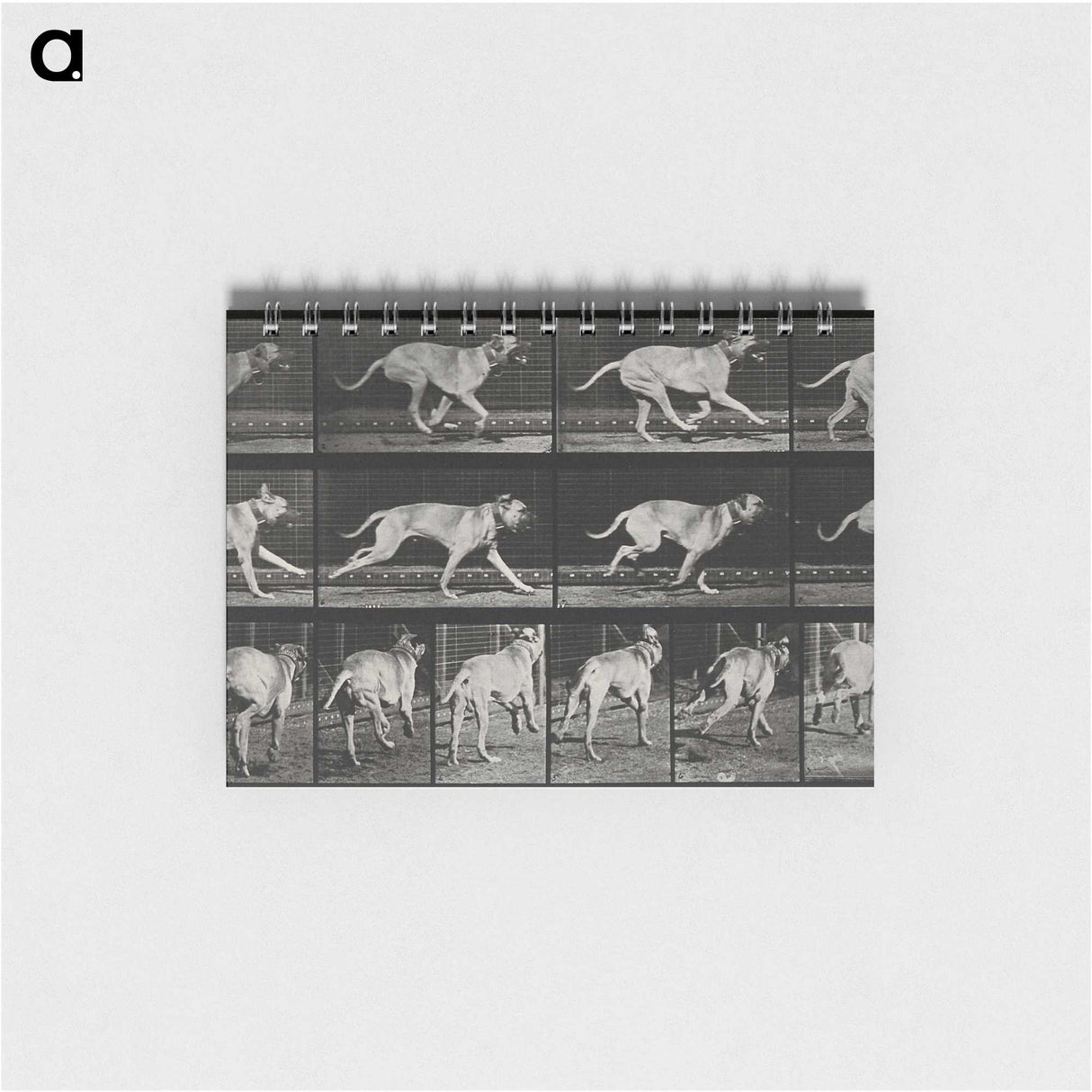 3-37_Eadweard-Muybridge_memo