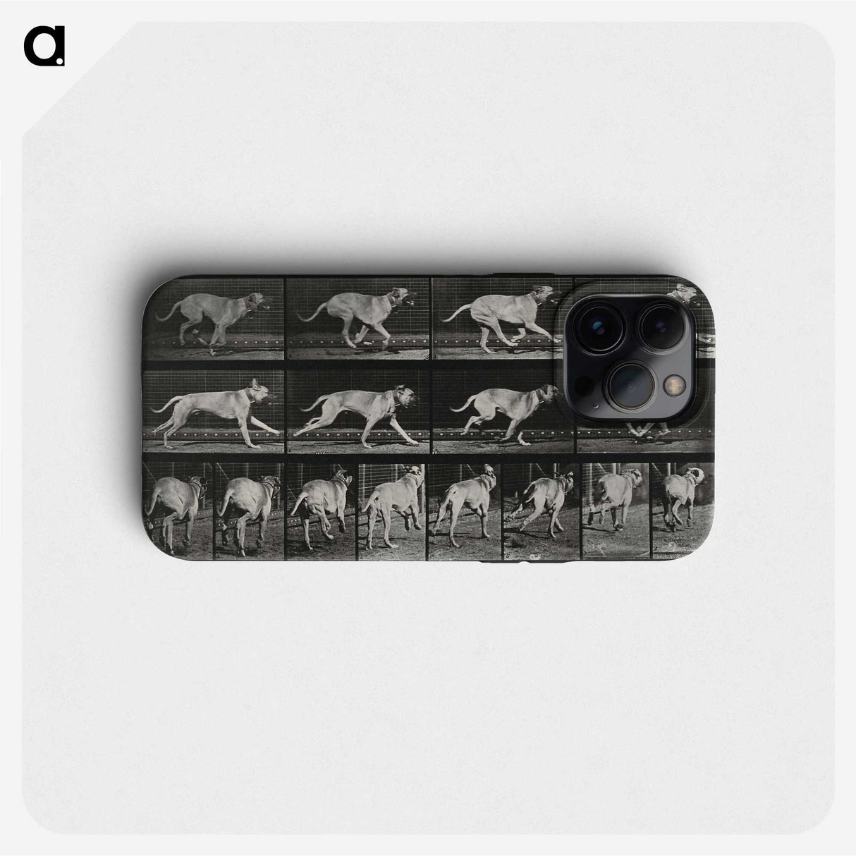 3-37_Eadweard-Muybridge_phone