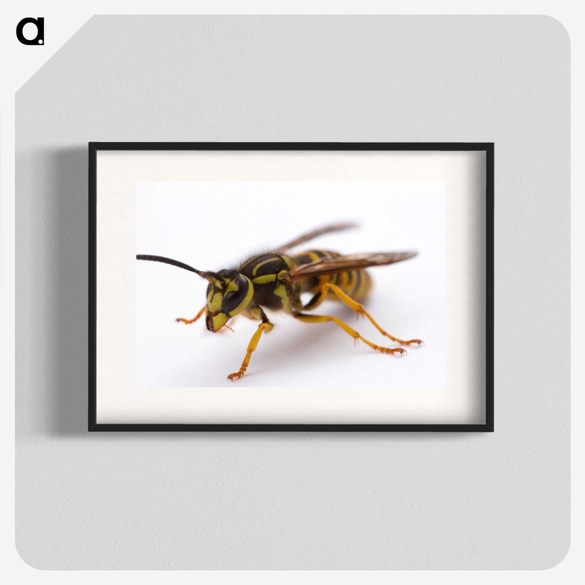 3-37_Insects-Unlocked-Project_blk
