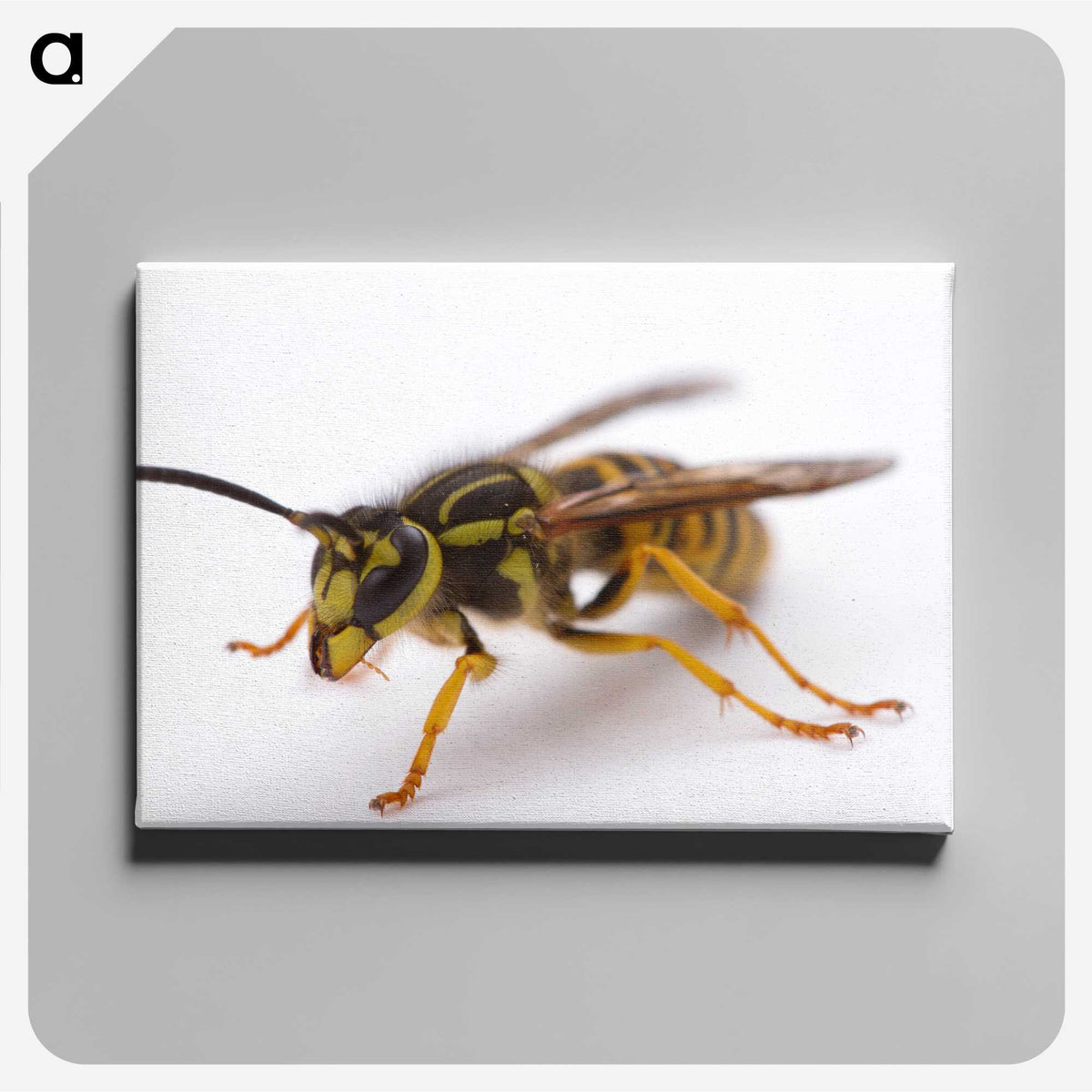 3-37_Insects-Unlocked-Project_canvas