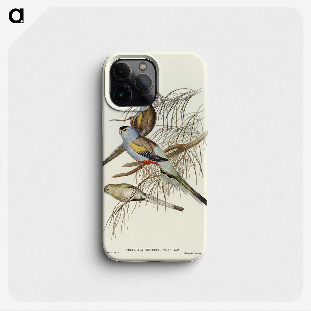 3-37_John-Gould_phone