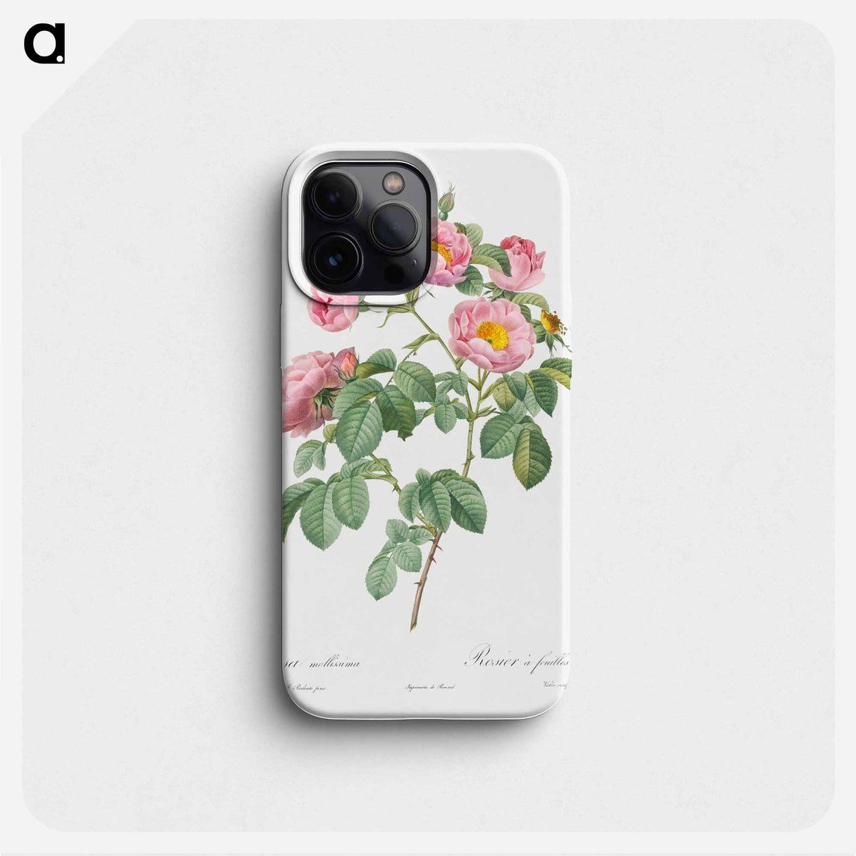 Semi-Double Variety of Tomentose Rose - Pierre Joseph Redouté Phone Case.