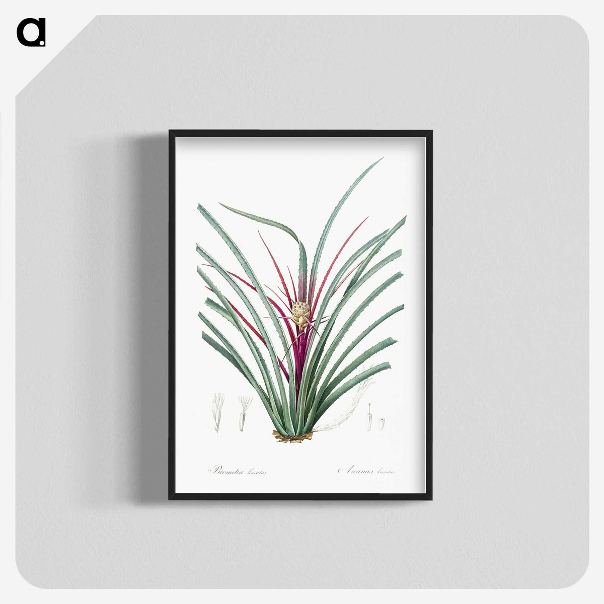 3-37_The-Lilies_blk-crop