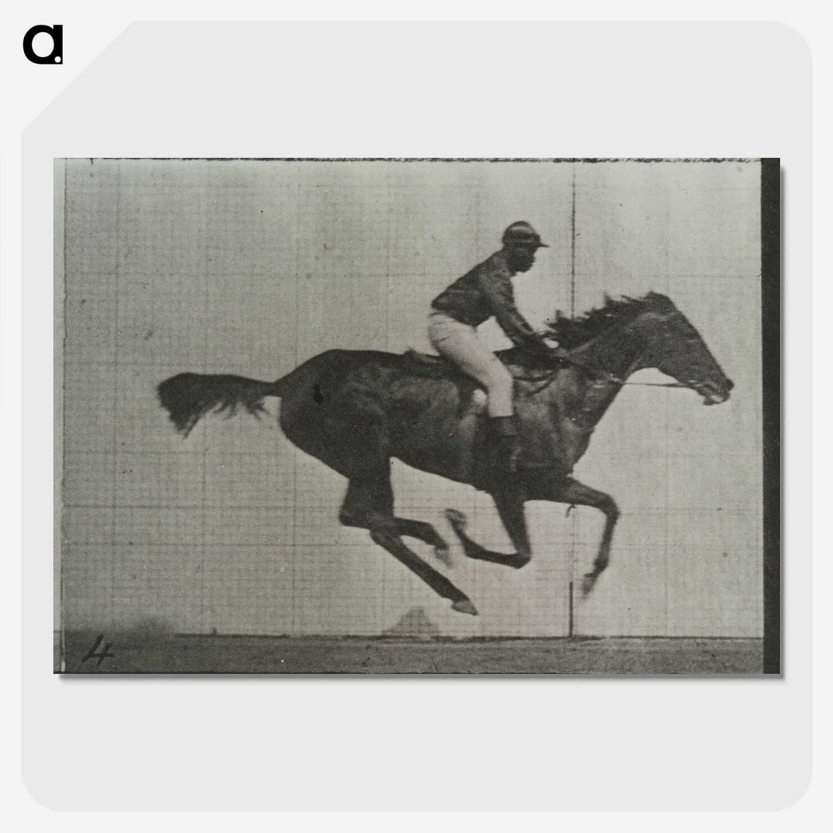 3-38_Eadweard-Muybridge_picture-crop