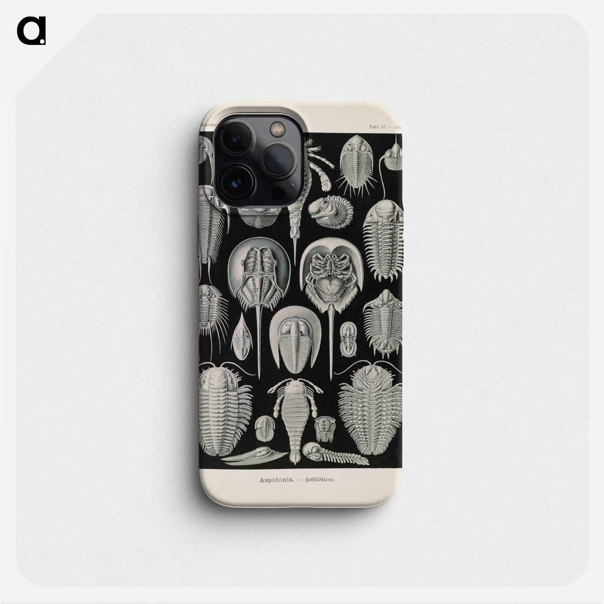 Marine life illustration - エルンスト ヘッケル Phone Case.
