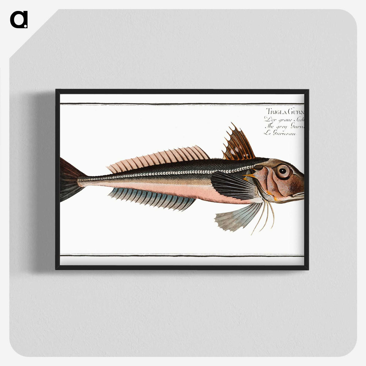 3-38_Ichtyologie-ou-Histoire-naturelle_blk-crop