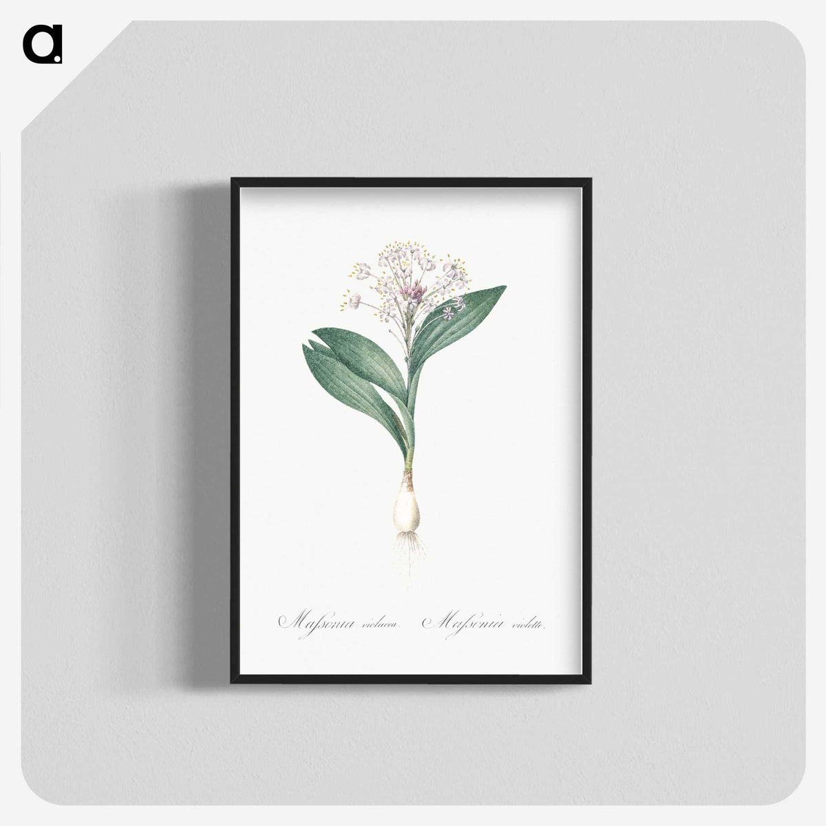3-38_The-Lilies_blk-crop