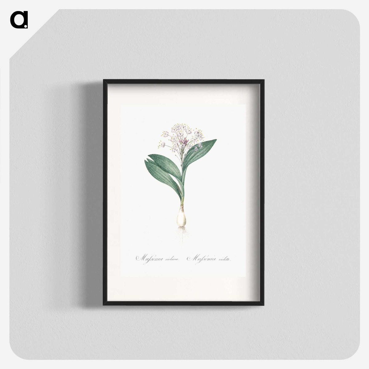 3-38_The-Lilies_blk