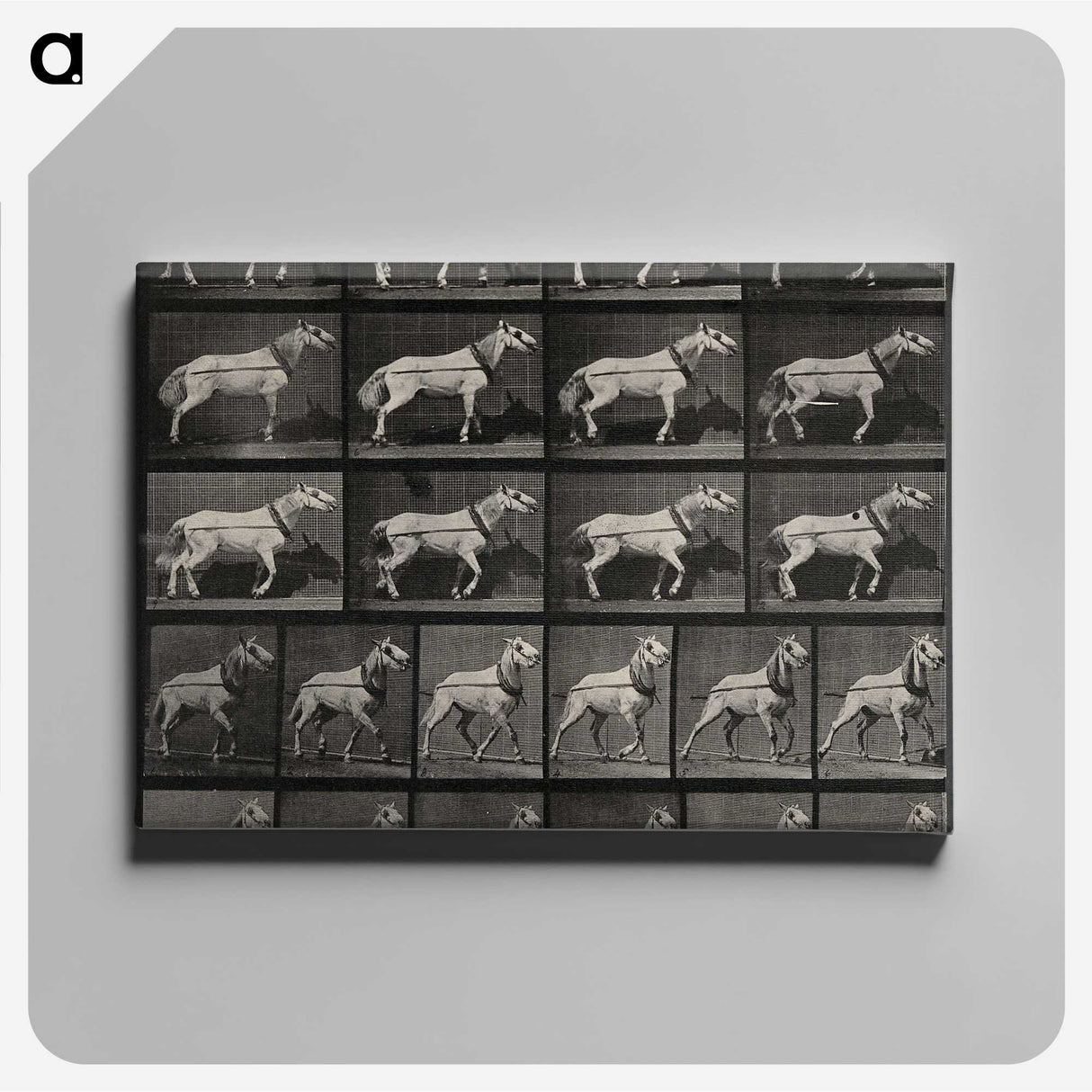 3-39_Eadweard-Muybridge_canvas