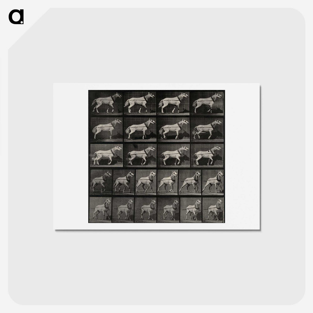 3-39_Eadweard-Muybridge_hagaki