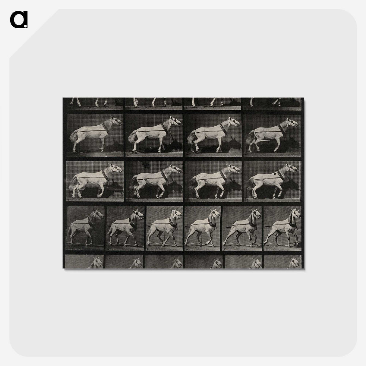 3-39_Eadweard-Muybridge_postcard