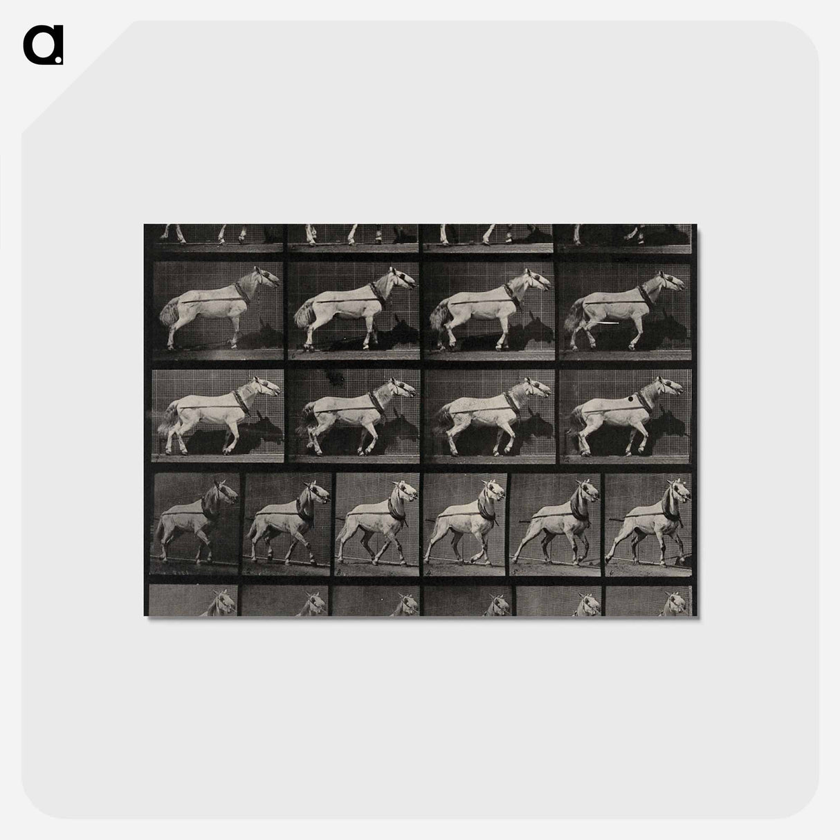 アートポストカード-Cart-Horse Pulling
- エドワード マイブリッジ Postcard.
