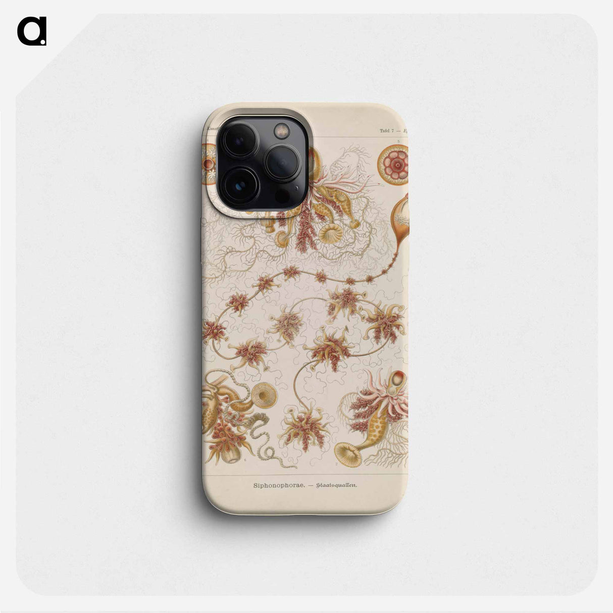 Marine life illustration - エルンスト ヘッケル Phone Case.
