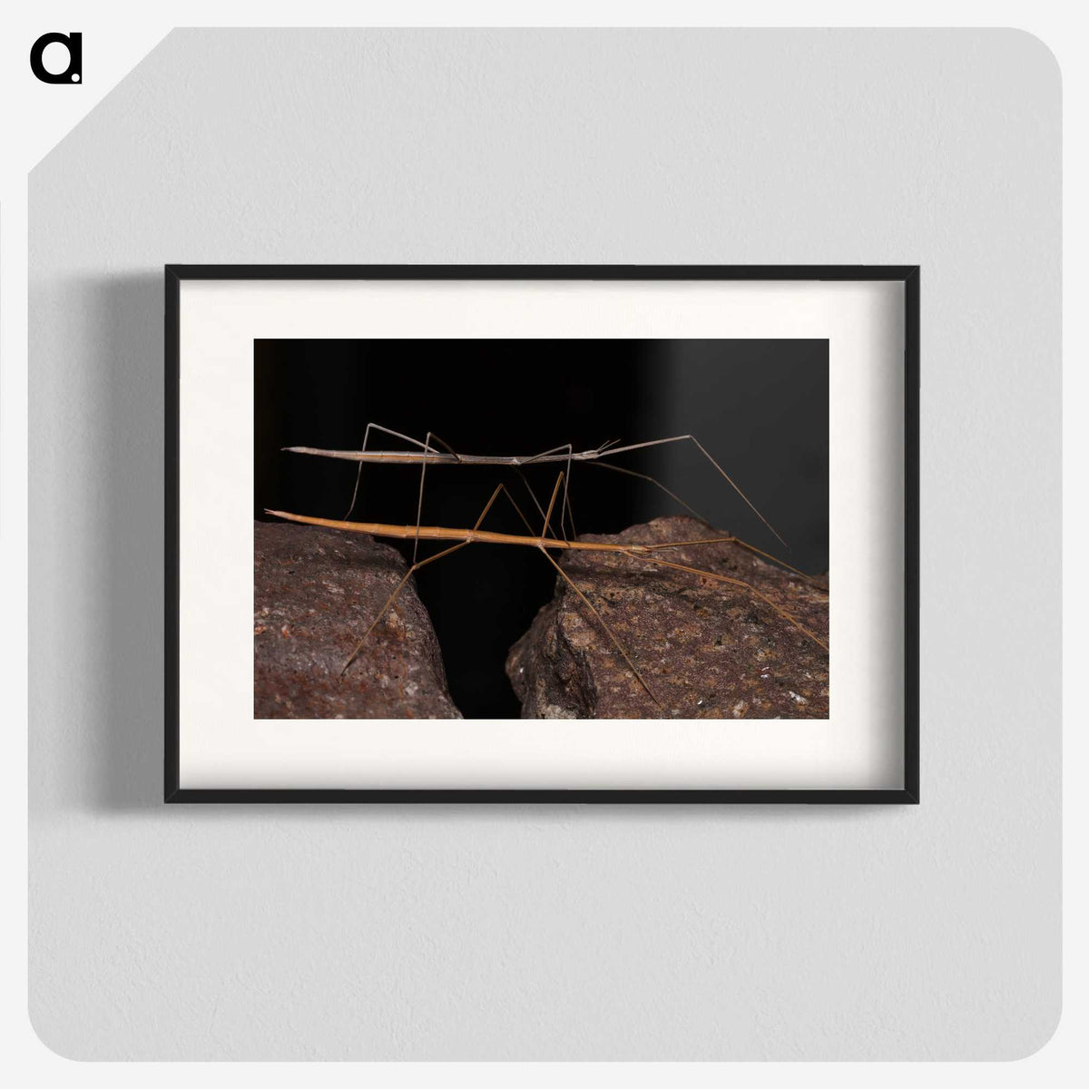 3-39_Insects-Unlocked-Project_blk
