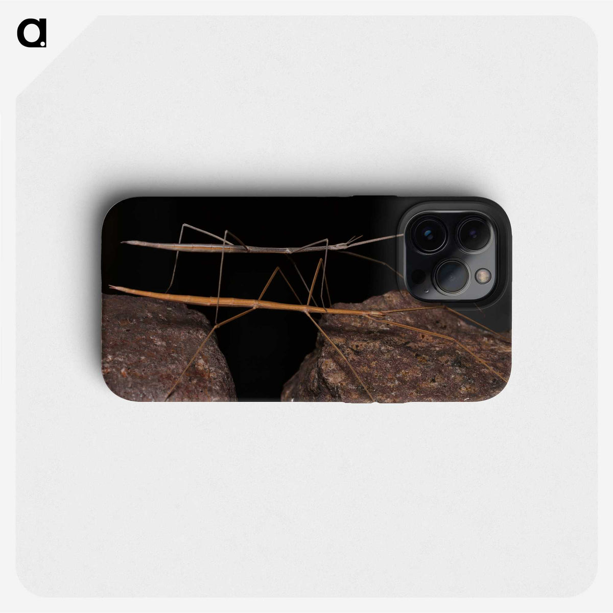 3-39_Insects-Unlocked-Project_phone