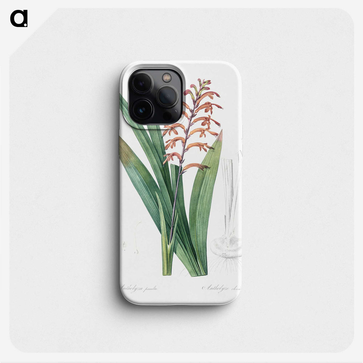 3-39_The-Lilies_phone